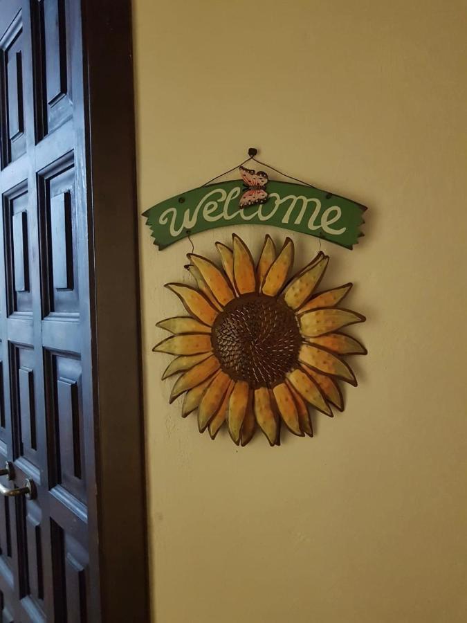 Apartamento Il Girasole Storico Pitigliano Exterior foto